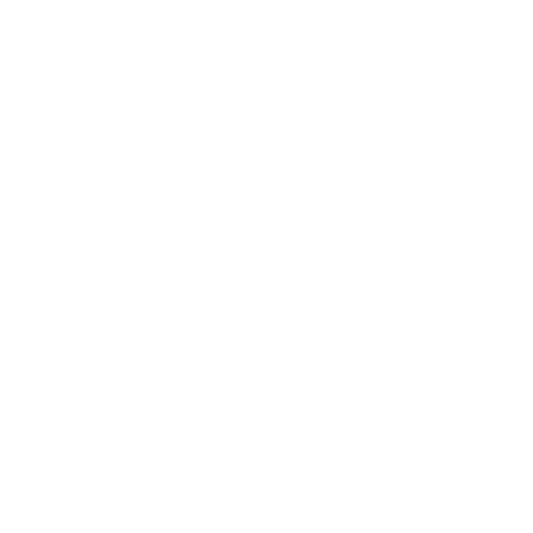 Pulst Immobilien Magdeburg - Kernkompetenz